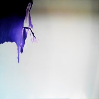 serenile progress 01 