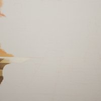 the pawn progress 02 