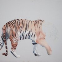 the tiger is back progress 04 