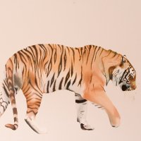 the tiger is back progress 05 