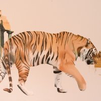 the tiger is back progress 07 