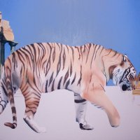 the tiger is back progress 08 